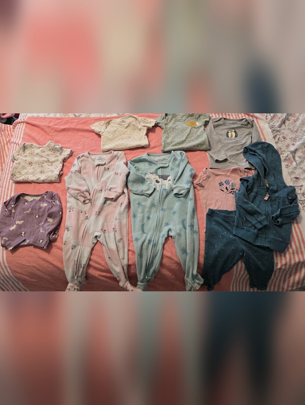 Carter's 10 Pc  9 Months Lot